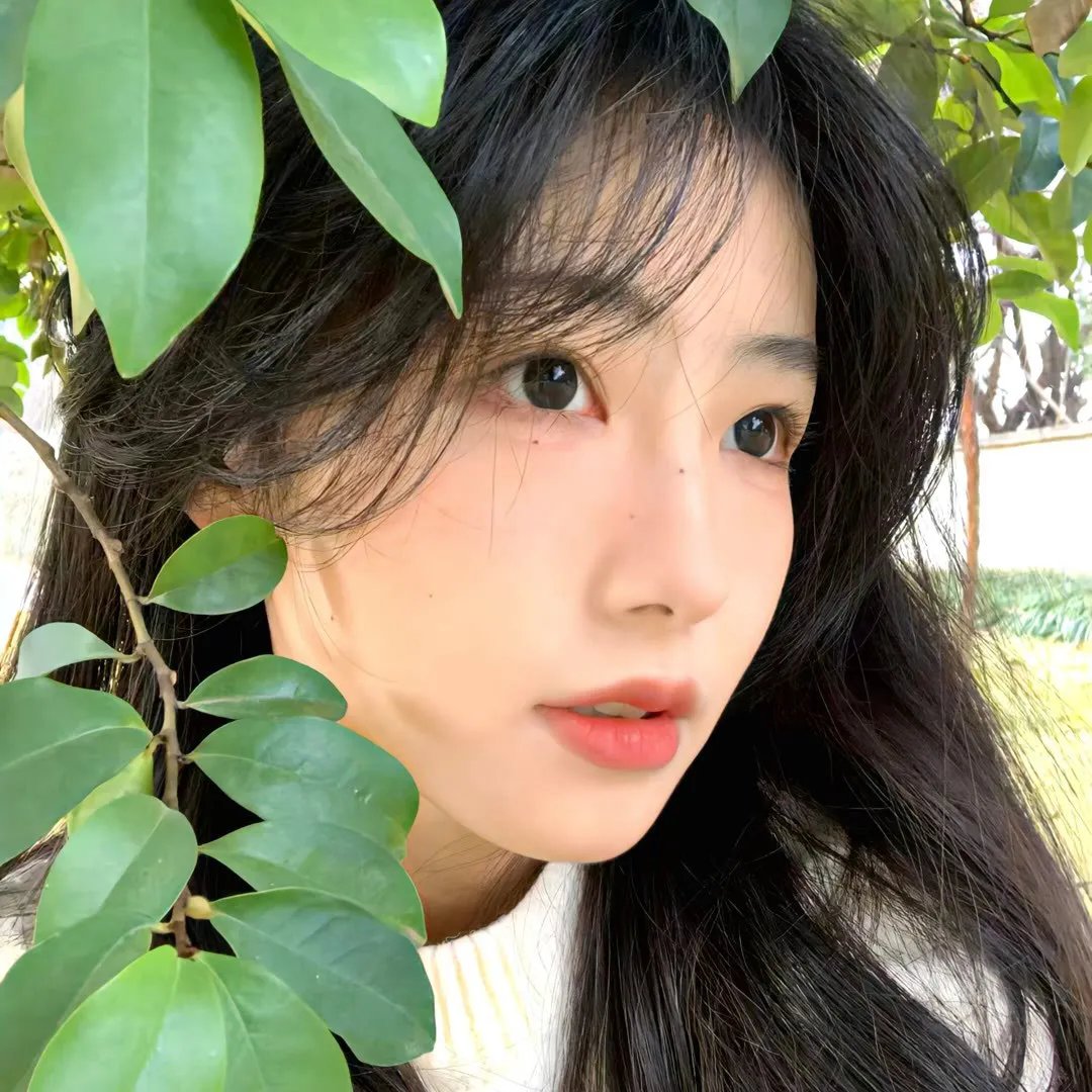 楼下的房客